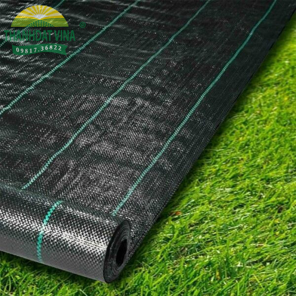 Bạt trải chống mọc cỏ