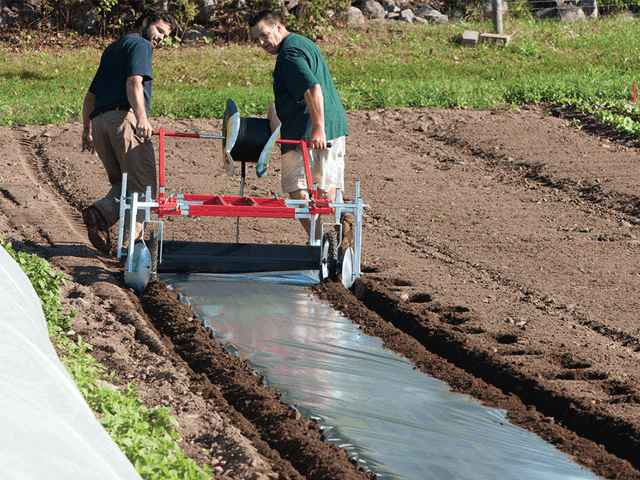 Màng phủ nông nghiệp