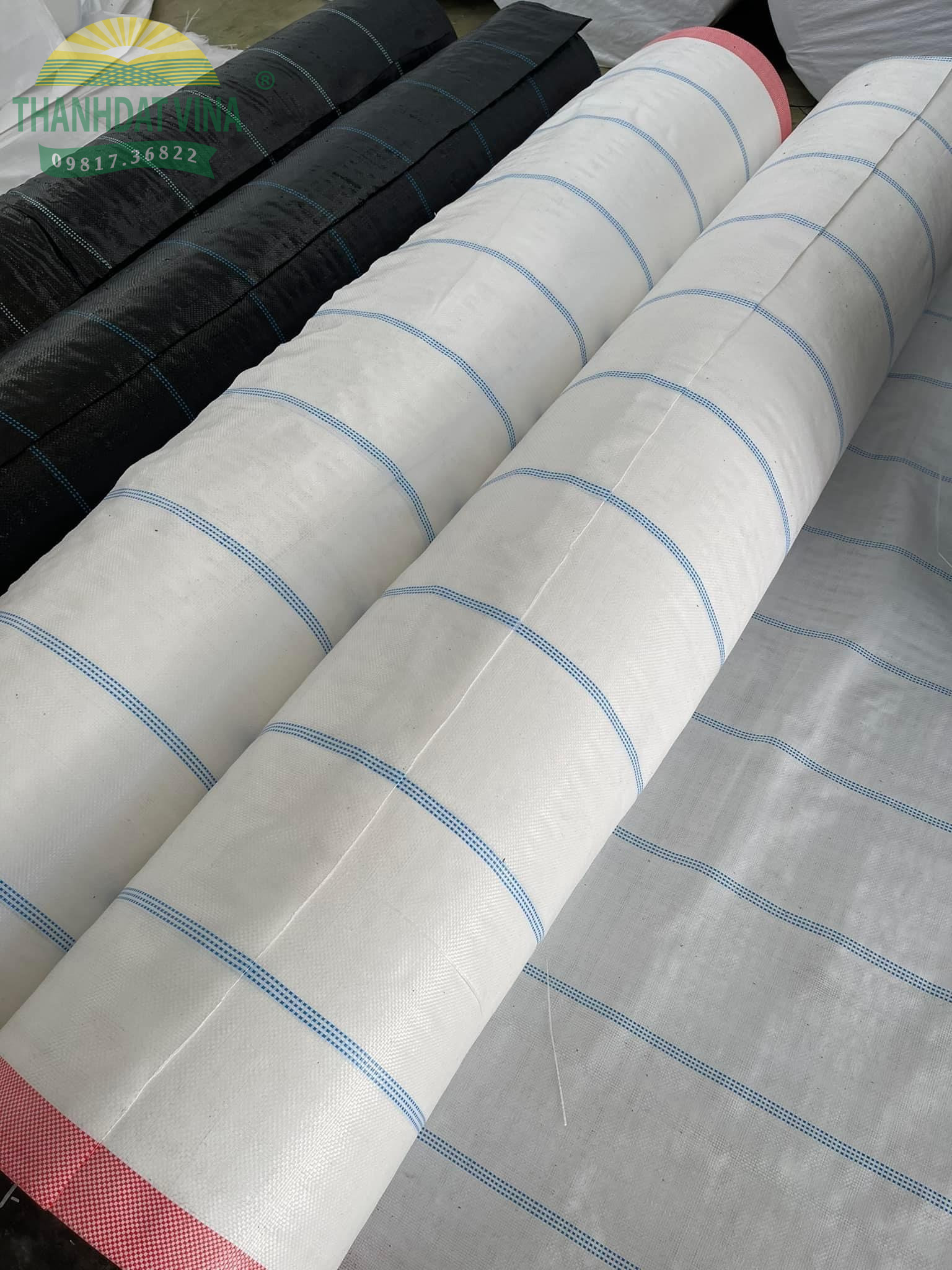 Bạt trải diệt cỏ 120gr