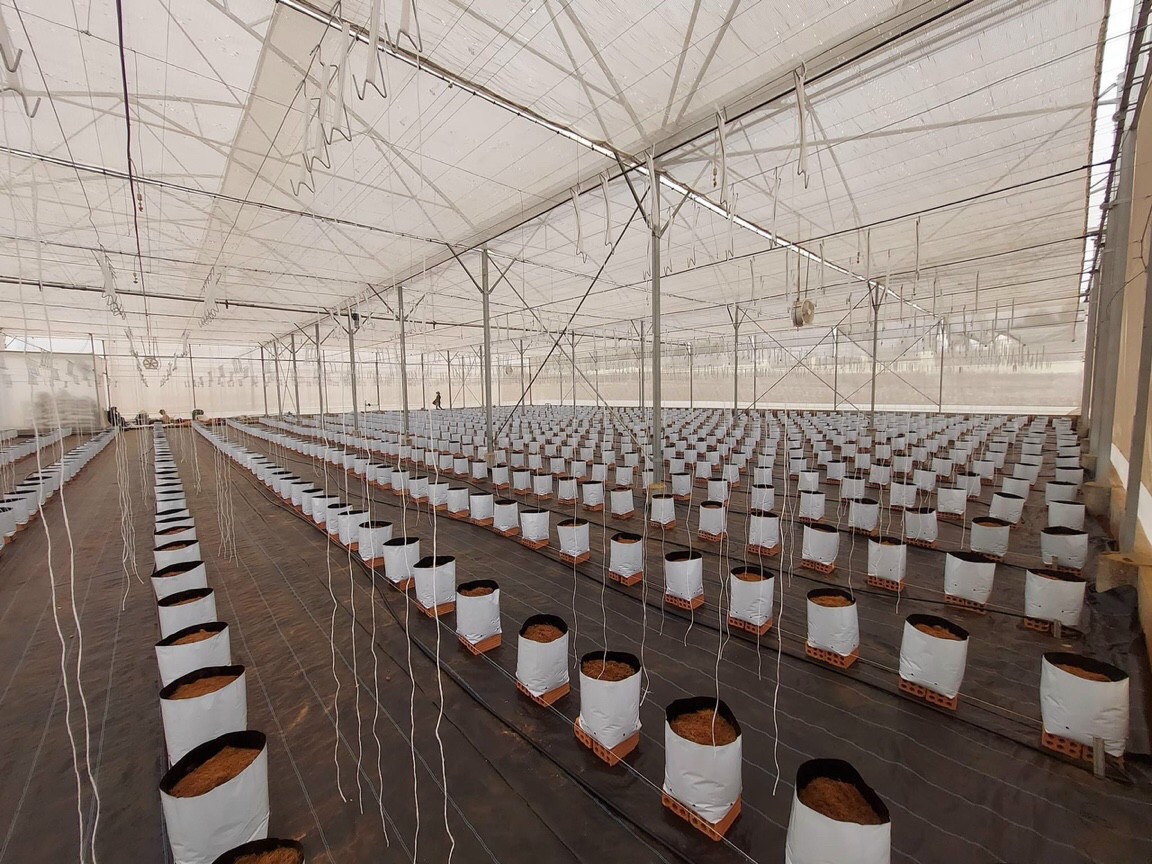 z2499405327864 278dc1901314e5caaebc2167cc559a6c