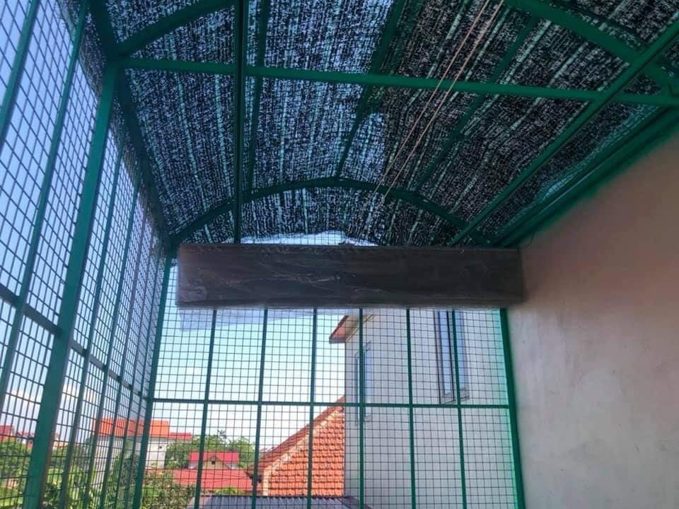 ( Ứng dụng trong che rợp ban công)